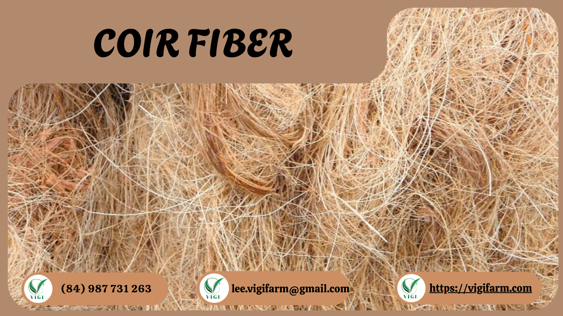 VIGI FARM BRINGS VIETNAMESE COIR FIBER TO THE PAKISTANI MARKET ON SEPTEMBER 5TH, 2026